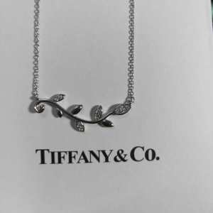 抜け感のあるスタイルが完成 ティファニー TiffanyCo ネックレス 2020トレンド感満載なアイテム