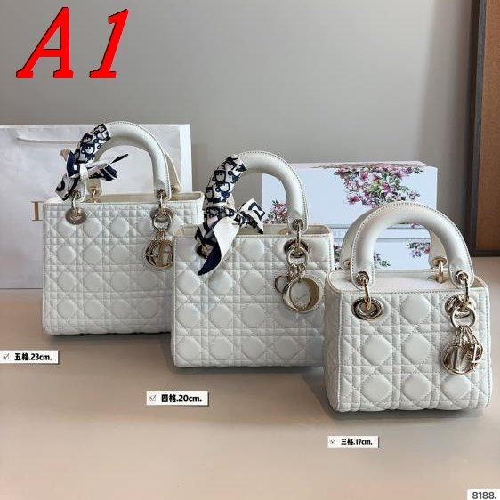 2025 実用的 ショルダーバッグ/ハンドバッグ DIOR  ディオール   24CM/20CM/17CM