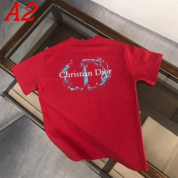 2025新作 DIORディオール ラウンドネック 半袖Tシャツ   コーディネート自在