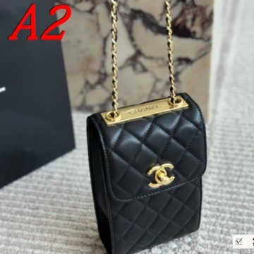 2025 扱いやすい ショルダーバッグ/ショルダーバッグ CHANEL  シャネル   16CM