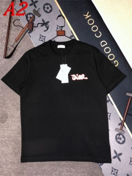 2025新作 DIORディオール ラウンドネック 半袖Tシャツ   ネーム入り