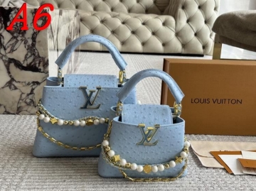 2025 シンプル ショルダーバッグ/ハンドバッグ LOUIS VUITTON  ルイヴィトン   28CM/20CM