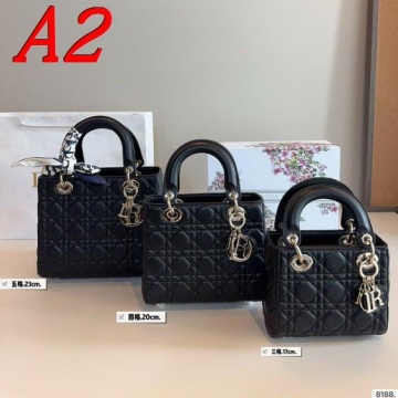 2025 実用的 ショルダーバッグ/ハンドバッグ DIOR  ディオール   24CM/20CM/17CM