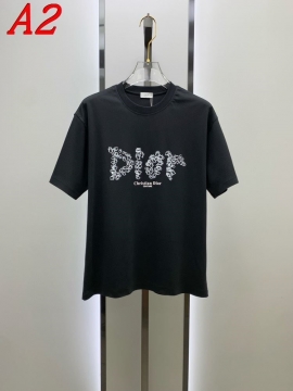 2025新作 DIORディオール クルーネック 半袖Tシャツ ヴィンテージ風