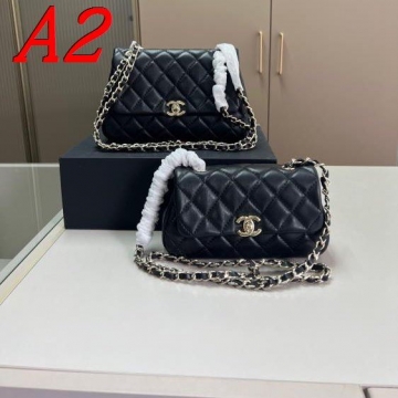 2025 ミステリアス ショルダーバッグ/ショルダーバッグ CHANEL  シャネル   20CM/22CM