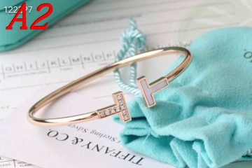 ティファニー ブレスレット/バングル 2025SS プロテクトコート Tiffany&Co