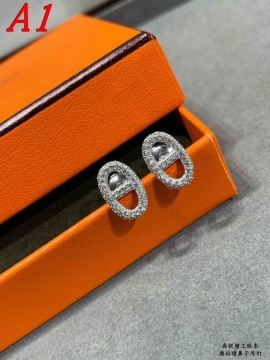 エルメス ピアス 2025SS テスト済み HERMES