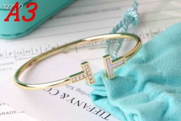 ティファニー ブレスレット/バングル 2025SS プロテクトコート Tiffany&Co