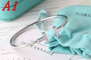 ティファニー ブレスレット/バングル 2025SS プロテクトコート Tiffany&Co
