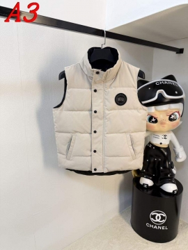 2025 カナダグース ユニーク ダウンプレミアムダウンジャケット カラバリ