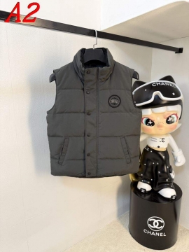 2025 カナダグース ユニーク ダウンプレミアムダウンジャケット カラバリ