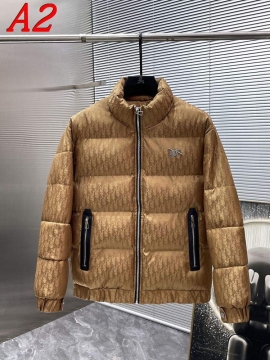 2025 ディオール ふっくら ダウンジャケット メンズ 重さを感じず