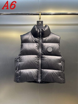 2025 カナダグース ビジネス向け メンズ ダウンジャケット 人気 ランキング