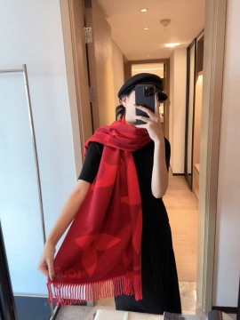 2025秋冬 ルイヴィトン ショール 大人気 男女兼用 多色可选