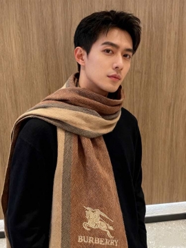2025秋冬 バーバリー ショール 高級感 男女兼用 多色可选