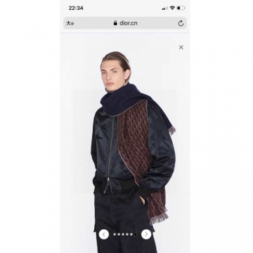 2025-26秋冬 ディオール ショール 高品質 男女兼用 