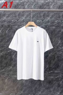 2026年コレクション ディオール 【デイリー】 着回し自在Tシャツ コスパ良 シンプル