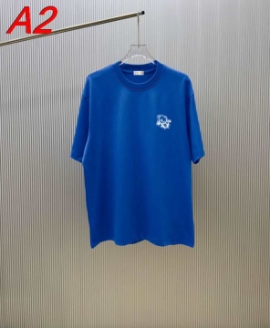 2026年新作 ディオール 【数量限定】 トレンドトップTシャツ バイラル 着回し自在