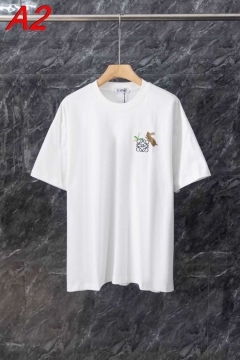 2026年新作 ロエベ 【ゴープコア】 アウトドアミックスTシャツ