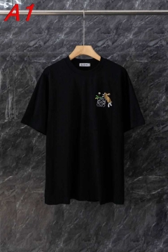 2026年新作 ロエベ 【ゴープコア】 アウトドアミックスTシャツ