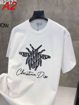 2026年コレクション ディオール 【サステナブル】 エココンシャスTシャツ ミニマリズム 着回し自在