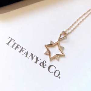 2020年春夏ファッションに最も ティファニー TiffanyCo ネックレス 春夏アイテムから新たに登場