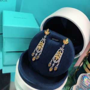 ティファニー使いやすい新品 TiffanyCo 世界共通のアイテム イヤリング是非ともオススメしたい