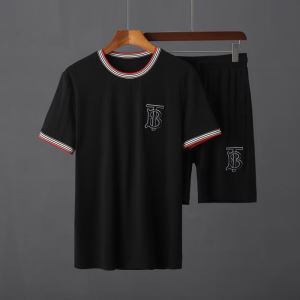 半袖Tシャツ 取り入れやすい バーバリー 人気が継続中 BURBERRY 確定となる上品