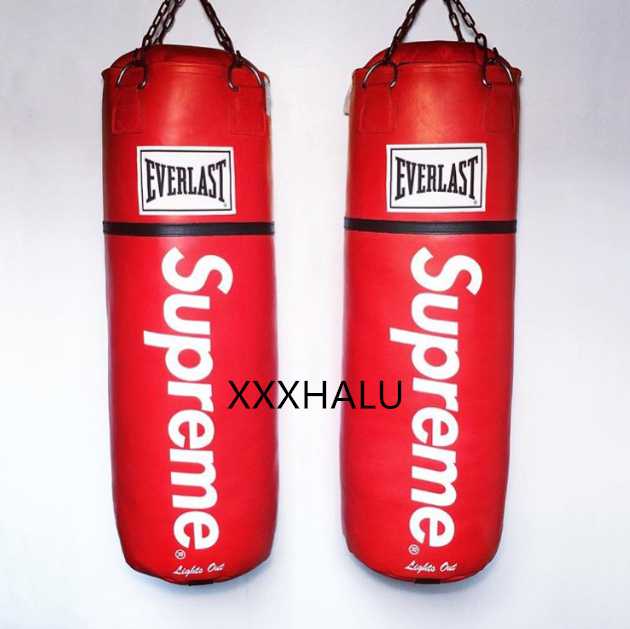 supreme 16ss 大人気再登場 Everlast サンドバッグ