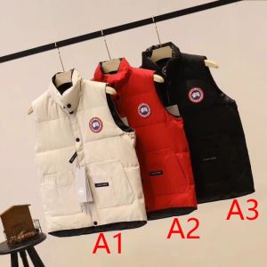 2020トレンドファッション新品 ダウンジャケット カナダグース Canada Goose 3色可選シンプルに着こなしたい