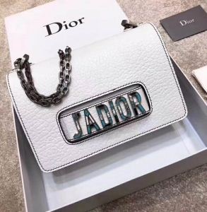 2020夏の定番新品到来 人気急上昇中 ディオール DIOR バッグ レディース 2色可選