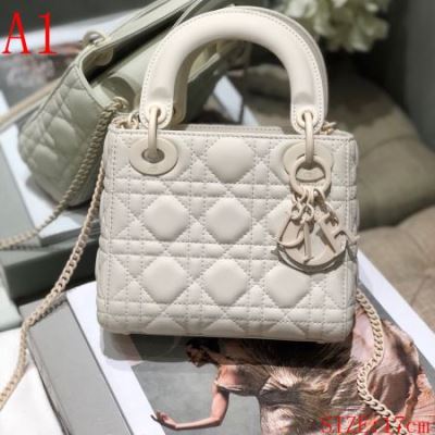 ディオール DIOR ★安心★追跡付 ハンドバッグ 最新商品即完売 限定品 人気No.1