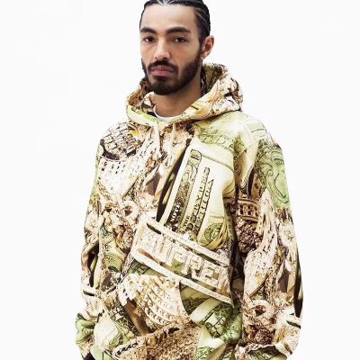 シュプリーム Supreme トレーナー/パーカー/ジャケット、上着 Bling Hooded Sweatshirt