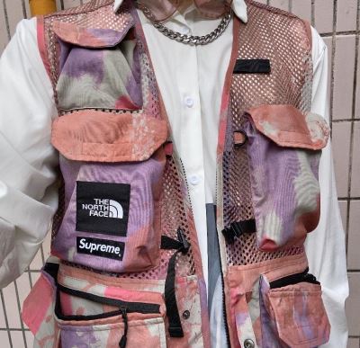 シュプリーム Supreme トレーナー/パーカー/ジャケット、上着 The North Face Cargo Vest