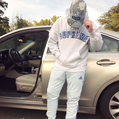 シュプリーム Supreme トレーナー/パーカー/ジャケット、上着 Icy Arc Hooded Sweatshirt