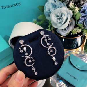 人気が継続中 2色可選 ティファニー20SSトレンド TiffanyCo ピアス 上品に着こなせ