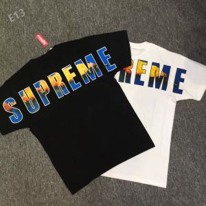 高級感ある 半袖Tシャツ 体の運動機能を助け 2020春夏 シュプリーム SUPREME 2色可選