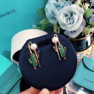確定となる上品 イヤリング 取り入れやすい ティファニー 人気が継続中 TiffanyCo