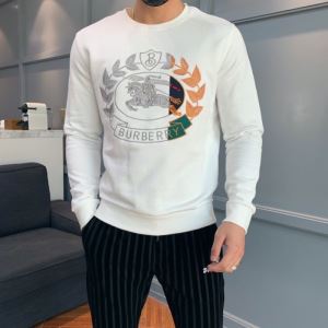 使いやすい新品 2色可選 バーバリー BURBERRY 世界共通のアイテム プルオーバーパーカー試してみよう