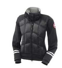 プレゼントに 2020秋冬 Canada Goose　保温力を持つ ダウンジャケ...