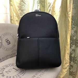リュック 海外限定ライン ディオール使いやすい新品 DIOR 世界共通のアイテム